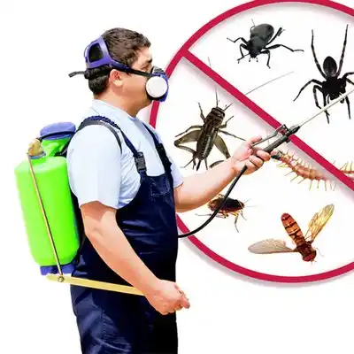 pest control Rockville Centre